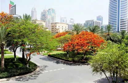 Apartment - 1 Bedroom - 1 Bathroom for rent in Al Dhafra 4 - Al Dhafra - Greens - Dubai