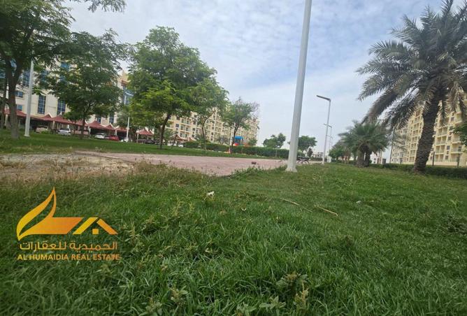 80260406 - Property Image 2