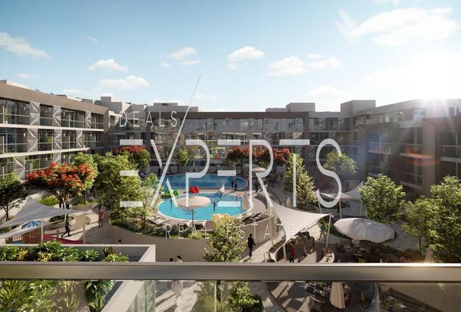 16006246 - Property Image 3