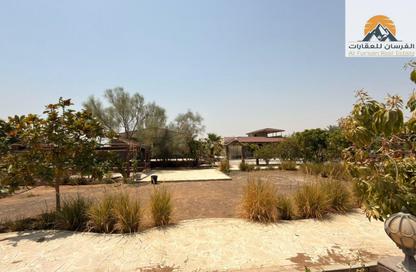 Farm - Studio for sale in Manama - Ajman