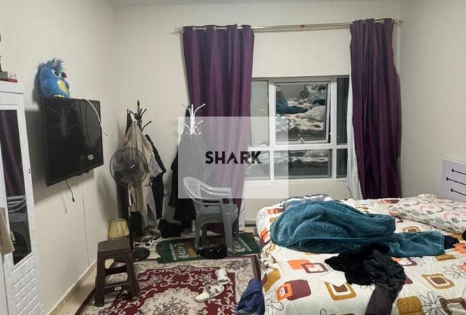 16058851 - Property Image 2