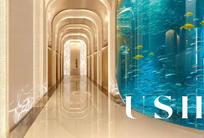 15943725 - Property Image 3