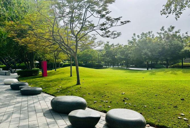 16309184 - صورة العقار 2