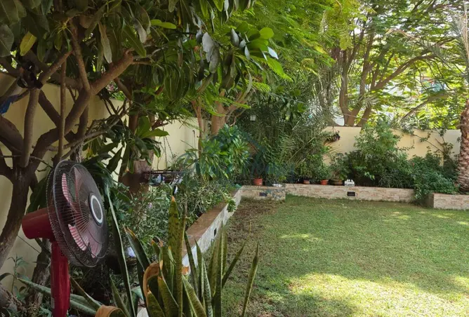 161870860 - Property Image 2