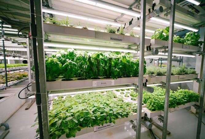 16252480 - الصورة الرئيسية للعقار