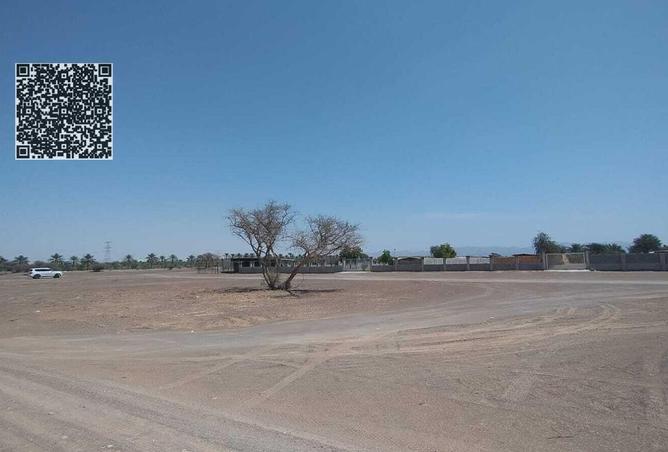 53599900 - صورة العقار 3