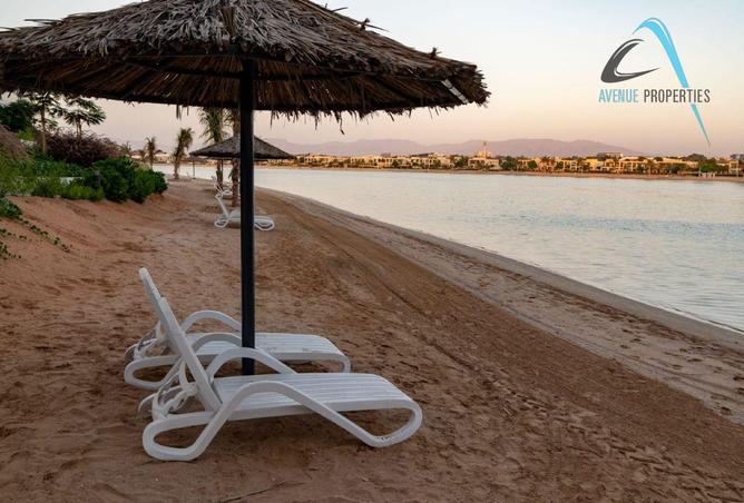 126555883 - صورة العقار 2