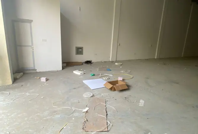 161437146 - Property Image 3