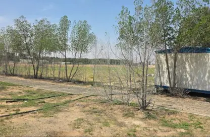 مزرعة - استوديو للبيع في المدام - الشارقة