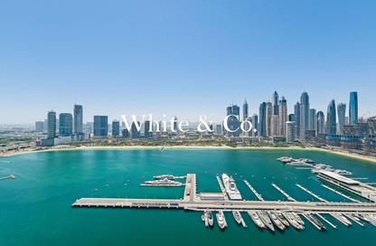 شقة - 4 غرف نوم - 5 حمامات للبيع في برج Palace Beach ريزيدنس 2 - بالاس بيتش ريزيدنس - إعمار بيتشفرونت - دبي هاربور - دبي