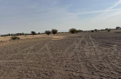 Land - Studio for sale in Manama - Ajman