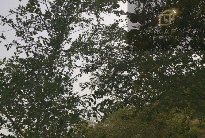 53192134 - Property Image 3