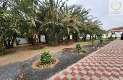 فيلا - 6 غرف نوم - 5 حمامات للبيع في عجمان وسط المدينة - عجمان