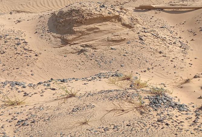 16208915 - صورة العقار 2