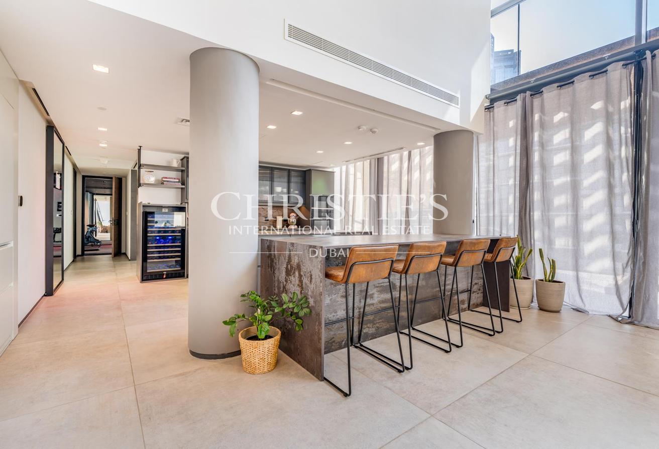 Furnished Duplex Penthouse with Park Views photo 6