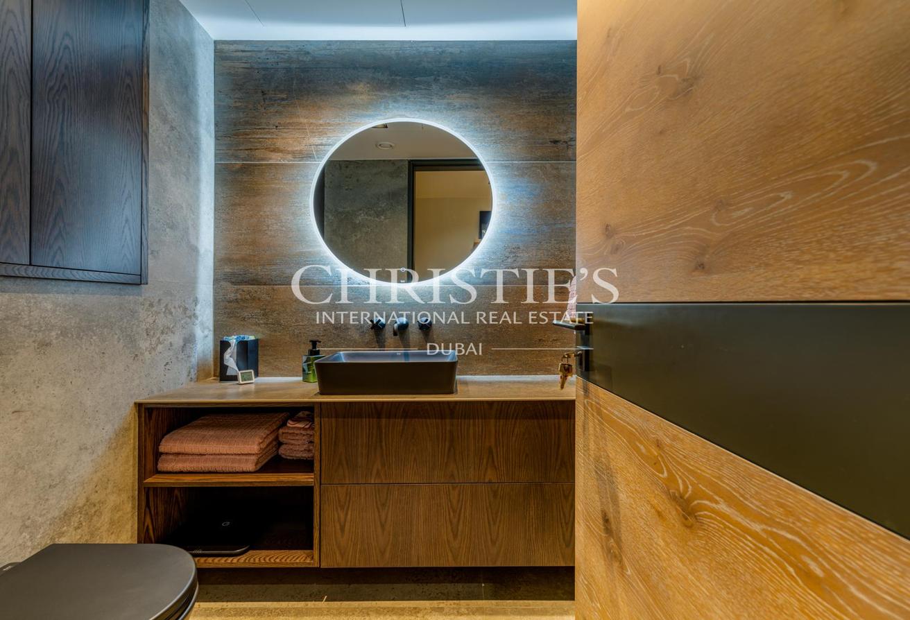 Furnished Duplex Penthouse with Park Views photo 19