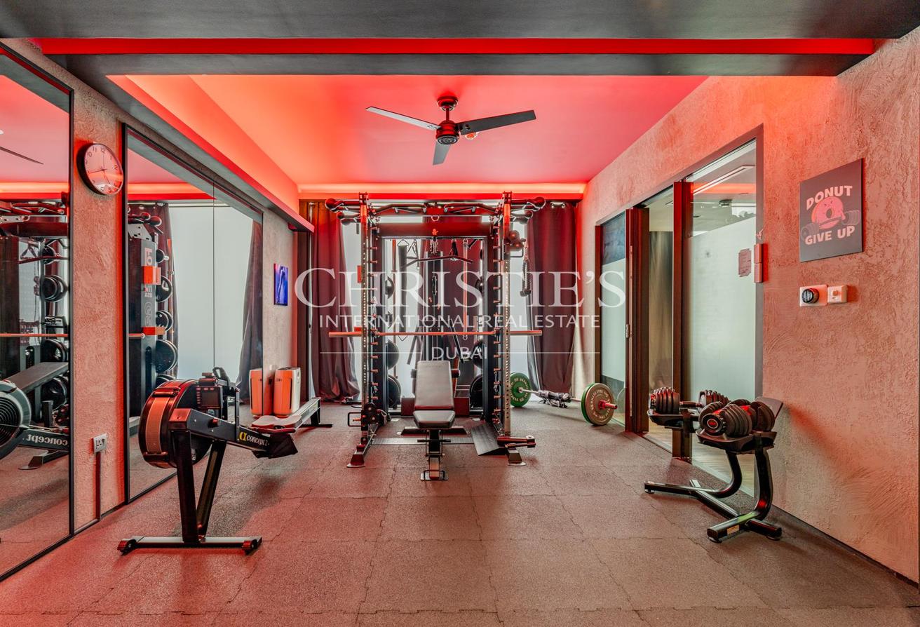 Furnished Duplex Penthouse with Park Views photo 16