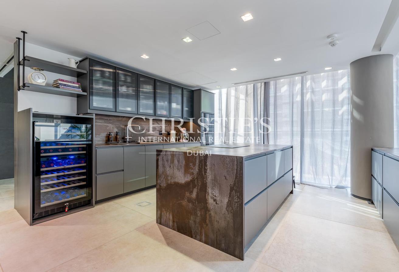 Furnished Duplex Penthouse with Park Views photo 7