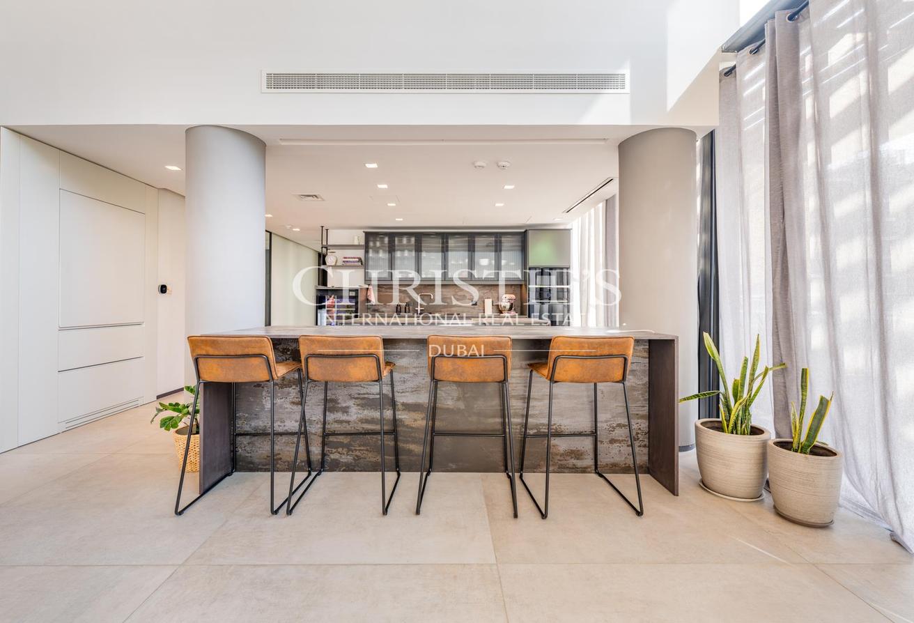 Furnished Duplex Penthouse with Park Views photo 5