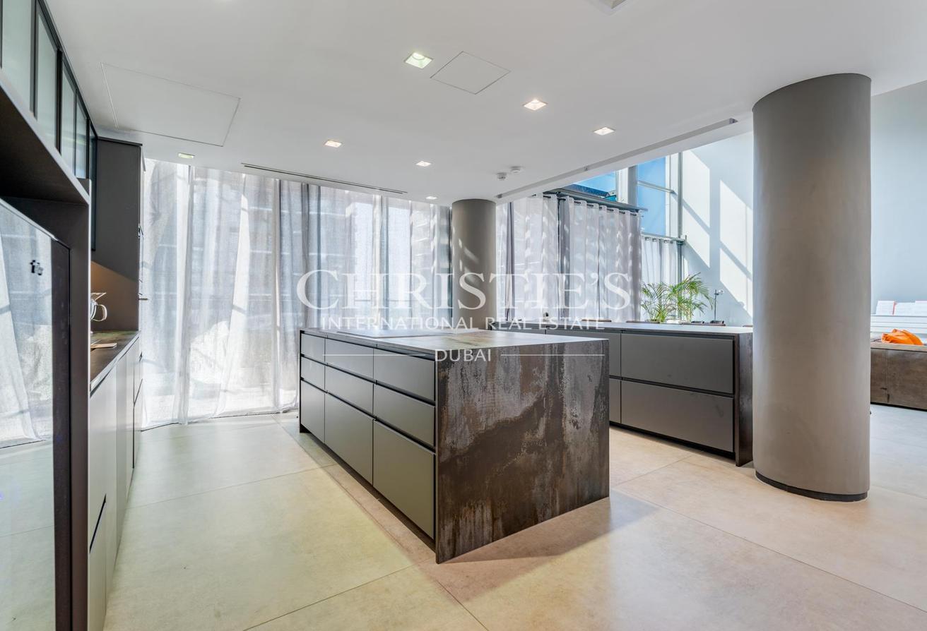Furnished Duplex Penthouse with Park Views photo 8