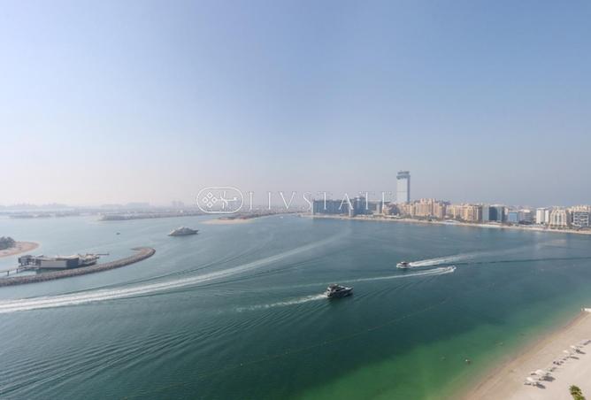 126117232 - صورة العقار 3