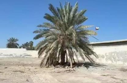 أرض - استوديو للبيع في برج البوابة 1 - مشيرف - عجمان أرض - استوديو للبيع في برج البوابة 1 - مشيرف - عجمان