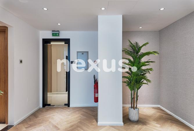 141913780 - Property Image 3