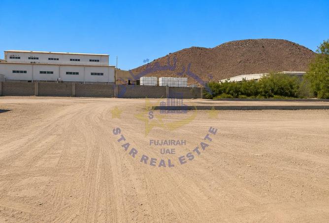 124711728 - Property Image 3