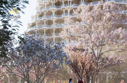 Apartment - 2 - 3 for sale in Skyhills Gardens D - Skyhills Gardens - Sakura Gardens - Falcon City of Wonders - Dubai Apartment - 2 - 3 for sale in Skyhills Gardens D - Skyhills Gardens - Sakura Gardens - Falcon City of Wonders - Dubai
