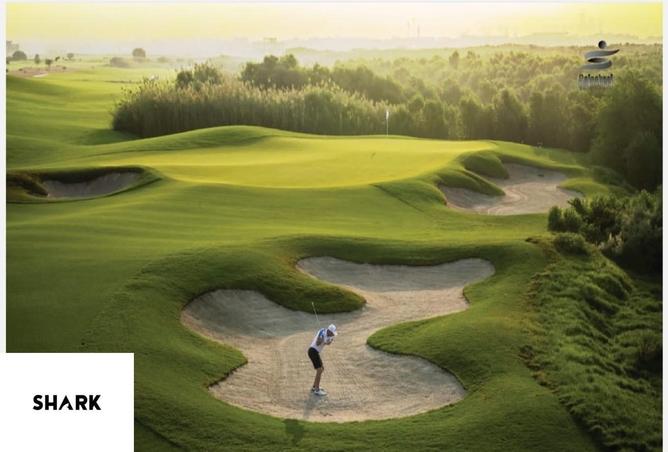 65194644 - صورة العقار 2