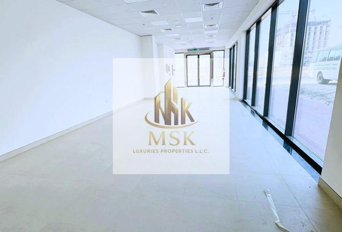 116360835 - Property Image 3