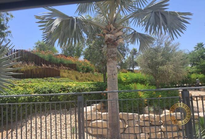 144183323 - Property Image 3