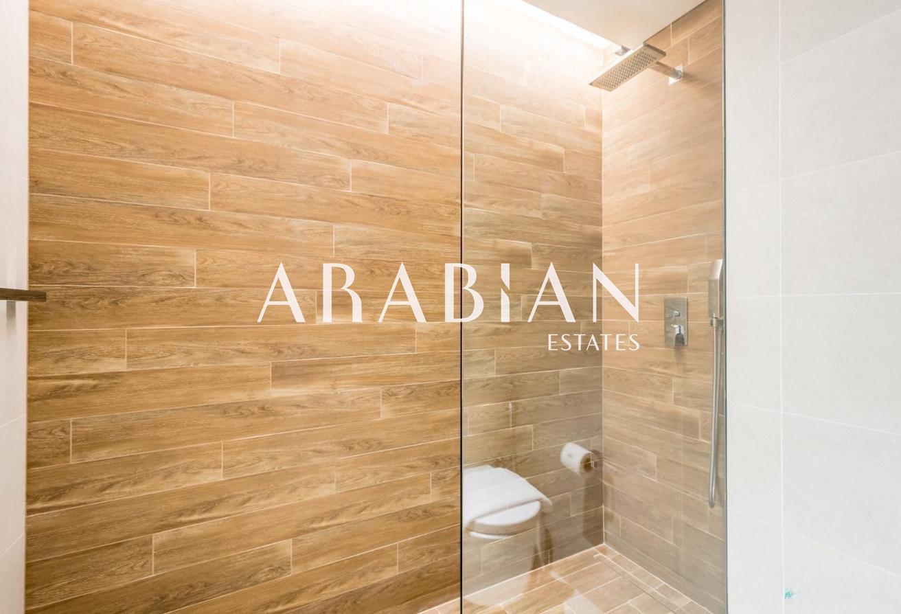 Luxury | Fully Upgraded | Eye Dubai View photo 17