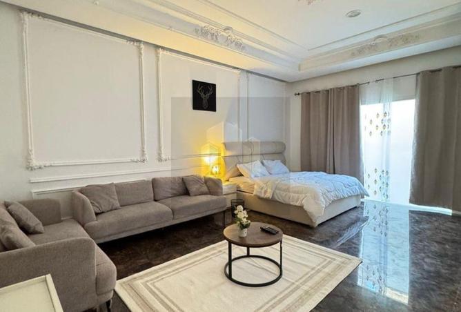 16259619 - Property Image 3