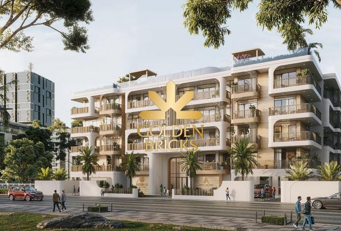 16249892 - Property Image 3