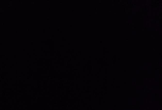 126589194 - Property Image 3