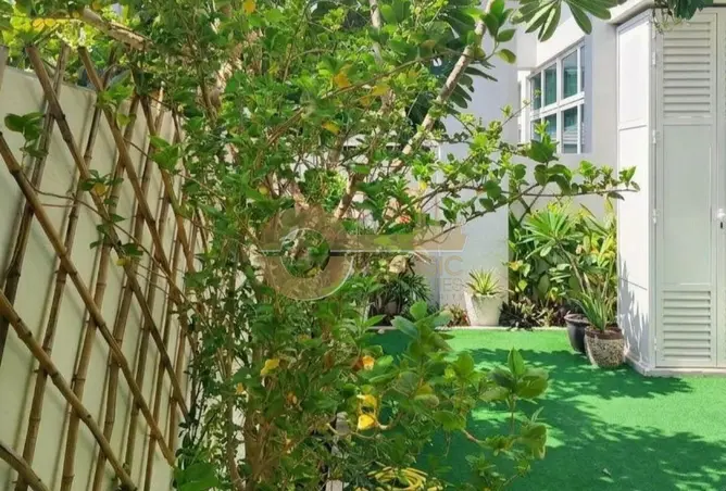 155508845 - Property Image 2