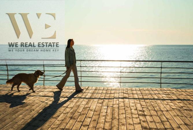 73875989 - Property Image 2