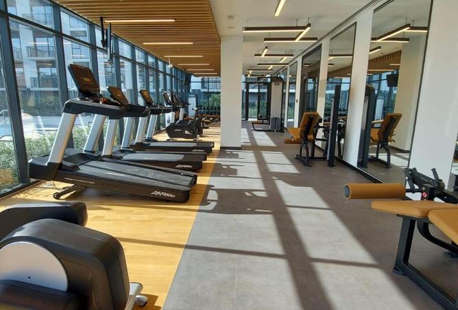 16291390 - Property Image 3