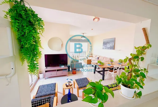 159657505 - Property Image 3