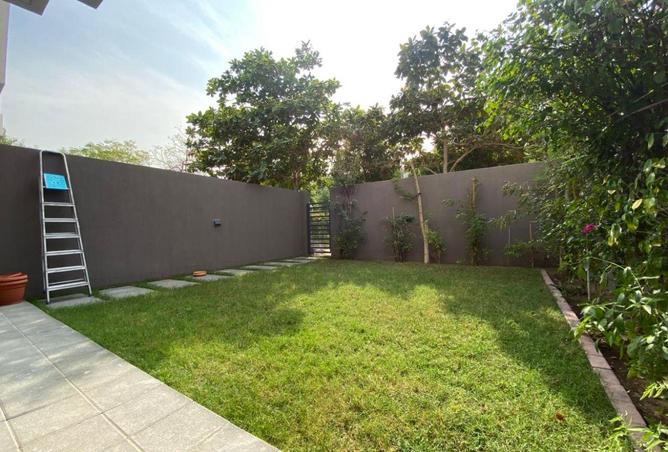 16226496 - صورة العقار 3