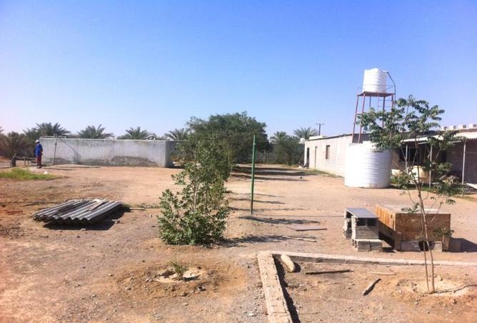 51196120 - صورة العقار 2