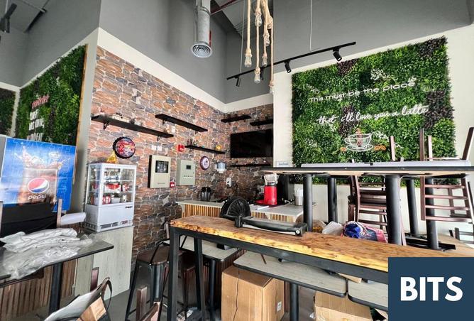 16307129 - Property Image 3