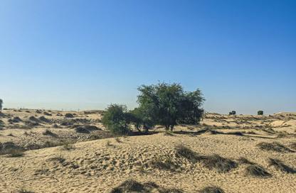 Land - Studio for sale in Hay Al Dibdibah North - Al Zubair - Sharjah Land - Studio for sale in Hay Al Dibdibah North - Al Zubair - Sharjah