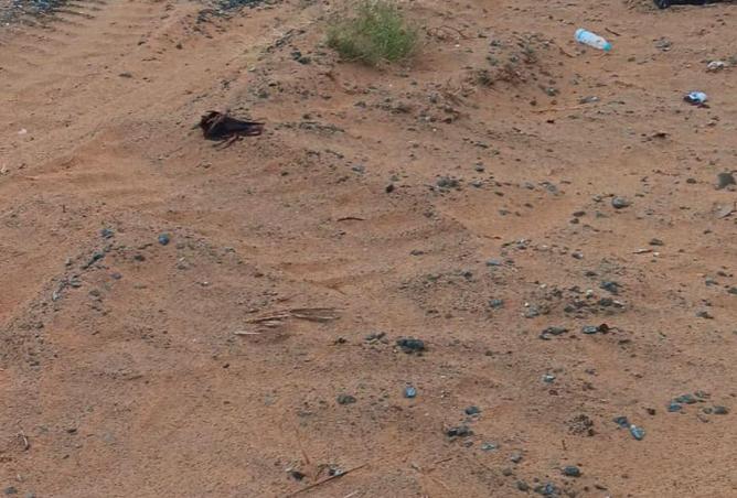 16161998 - صورة العقار 3