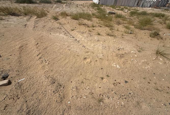 98262038 - Property Image 3