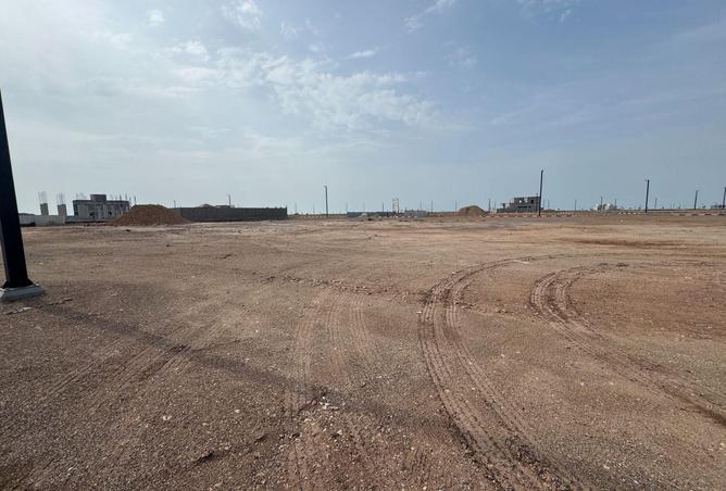 68299719 - Property Image 3