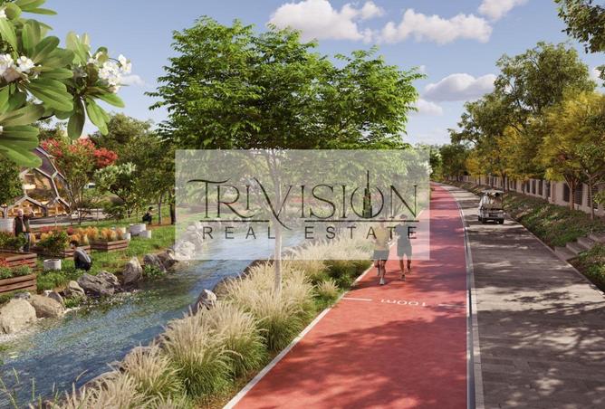 54392281 - Property Image 3