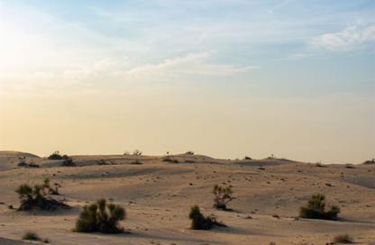 Land - Studio for sale in Hay Al Dibdibah North - Al Zubair - Sharjah
