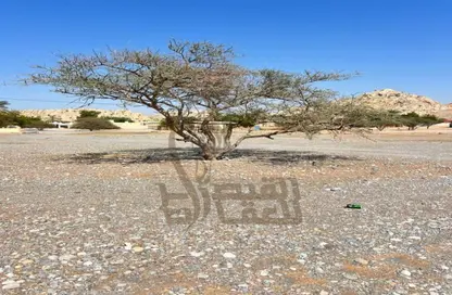 أرض - استوديو للبيع في سيح البريرات - رأس الخيمة